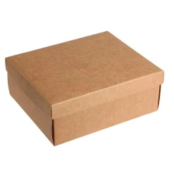 Clearance DecoWoerner Geschenkkartons 24 X 22 X 9,5 Cm 10 Stück braun