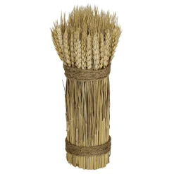 DecoWoerner Getrocknete Weizenhalme 2-fach Gebunden 8 X 28 Cm gelb