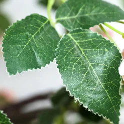 Online DecoWoerner Großer Künstlicher Wildrosen-Baum Weiß - Rosè, 210 Cm rosa