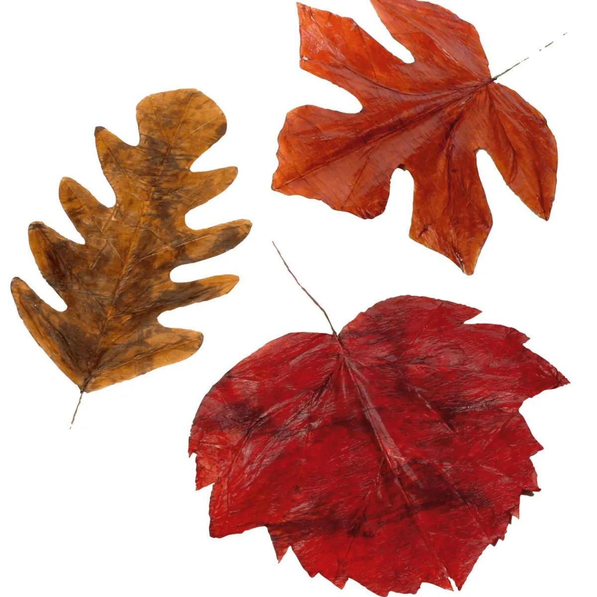 Sale DecoWoerner Herbstliche Kunstblätter 80 Cm, 3 Stück orange