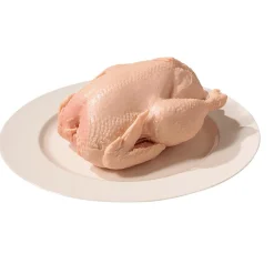 Discount DecoWoerner Hähnchen Roh Lebensmittel-Attrappe 23 Cm rosa