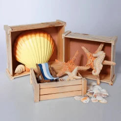 Sale DecoWoerner Holzkisten-Satz, Natur braun
