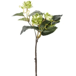 Discount DecoWoerner Hopfen-Kunstzweige, Pack à 3 Stück grün