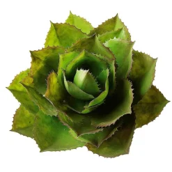 Online DecoWoerner Künstliche Agave Parryi Ohne Topf, 38 Cm Ø grün