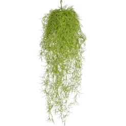 Hot DecoWoerner Künstliche Asparagus Schwer Entflammbar B1, 75 Cm grün
