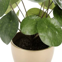 Clearance DecoWoerner Künstliche Deko Pilea Im Topf Pfannkuchenpflanze 25 Cm grün