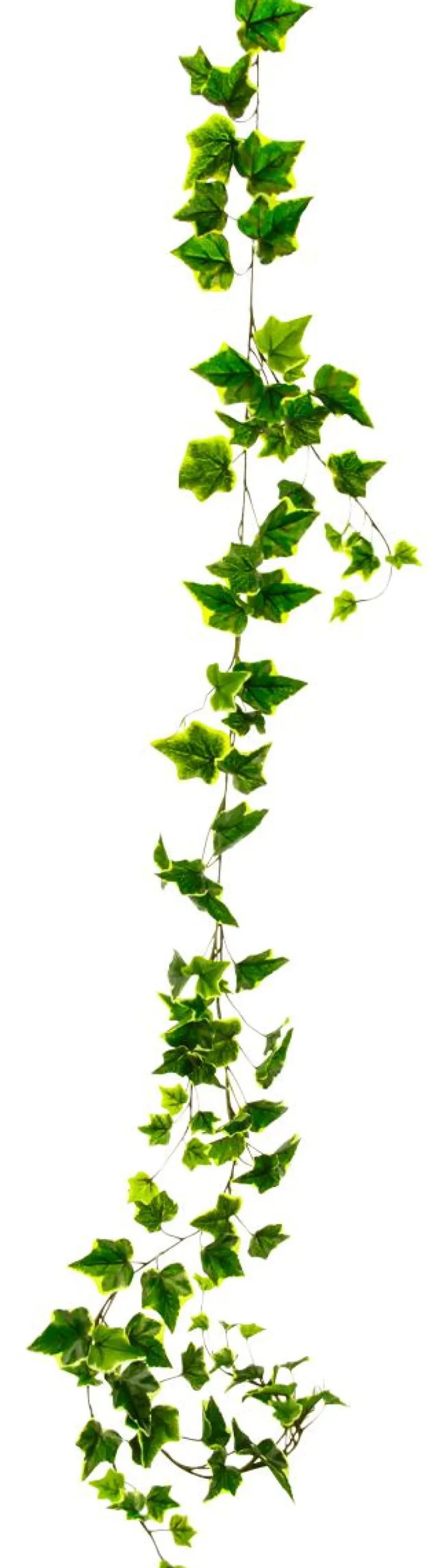 Discount DecoWoerner Künstliche Efeu-Girlande 170 Cm Gelb grün