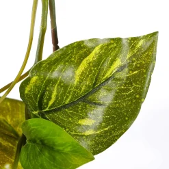 Clearance DecoWoerner Künstliche Efeu-Pothos-Girlande 170 Cm grün