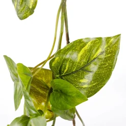 Clearance DecoWoerner Künstliche Efeu-Pothos-Girlande 170 Cm grün