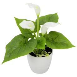 DecoWoerner Künstliche Mini Calla-Pflanze Im Topf 20 Cm weiß