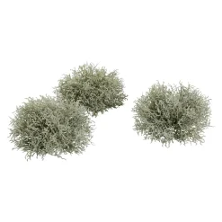 Clearance DecoWoerner Künstliche Moosflechten-Büschel, Pack à 3 Stück grün