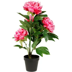 Best DecoWoerner Künstliche Pfingstrose Im Topf rosa