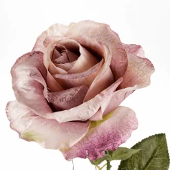 Clearance DecoWoerner Künstliche Rose, 68 Cm rosa