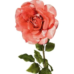 Sale DecoWoerner Künstliche Rose, Apricot 116 Cm rot