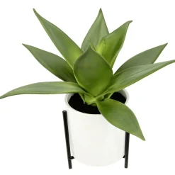 New DecoWoerner Künstliche Succulente Im Weißen Topf 27 Cm grün
