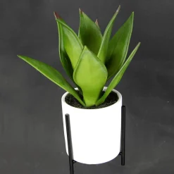 New DecoWoerner Künstliche Succulente Im Weißen Topf 27 Cm grün