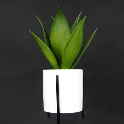 New DecoWoerner Künstliche Succulente Im Weißen Topf 27 Cm grün