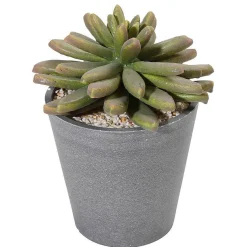 DecoWoerner Künstliche Sukkulente 20 Cm grün