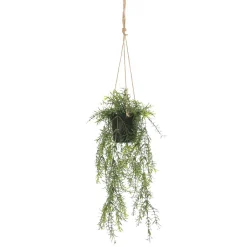 Outlet DecoWoerner Künstliche Zierspargel Asparagus Hänge-Ampel 20 X 50 Cm grün