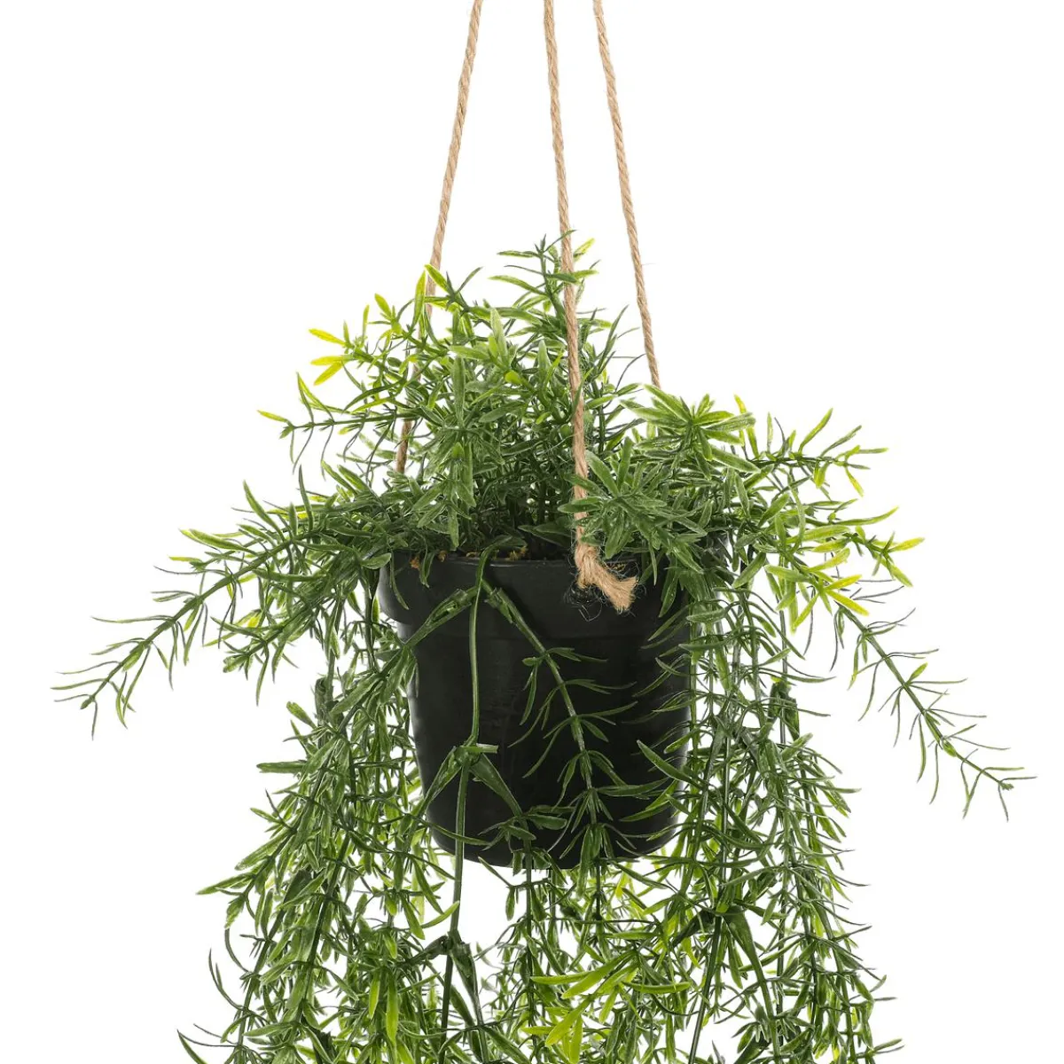 Outlet DecoWoerner Künstliche Zierspargel Asparagus Hänge-Ampel 20 X 50 Cm grün
