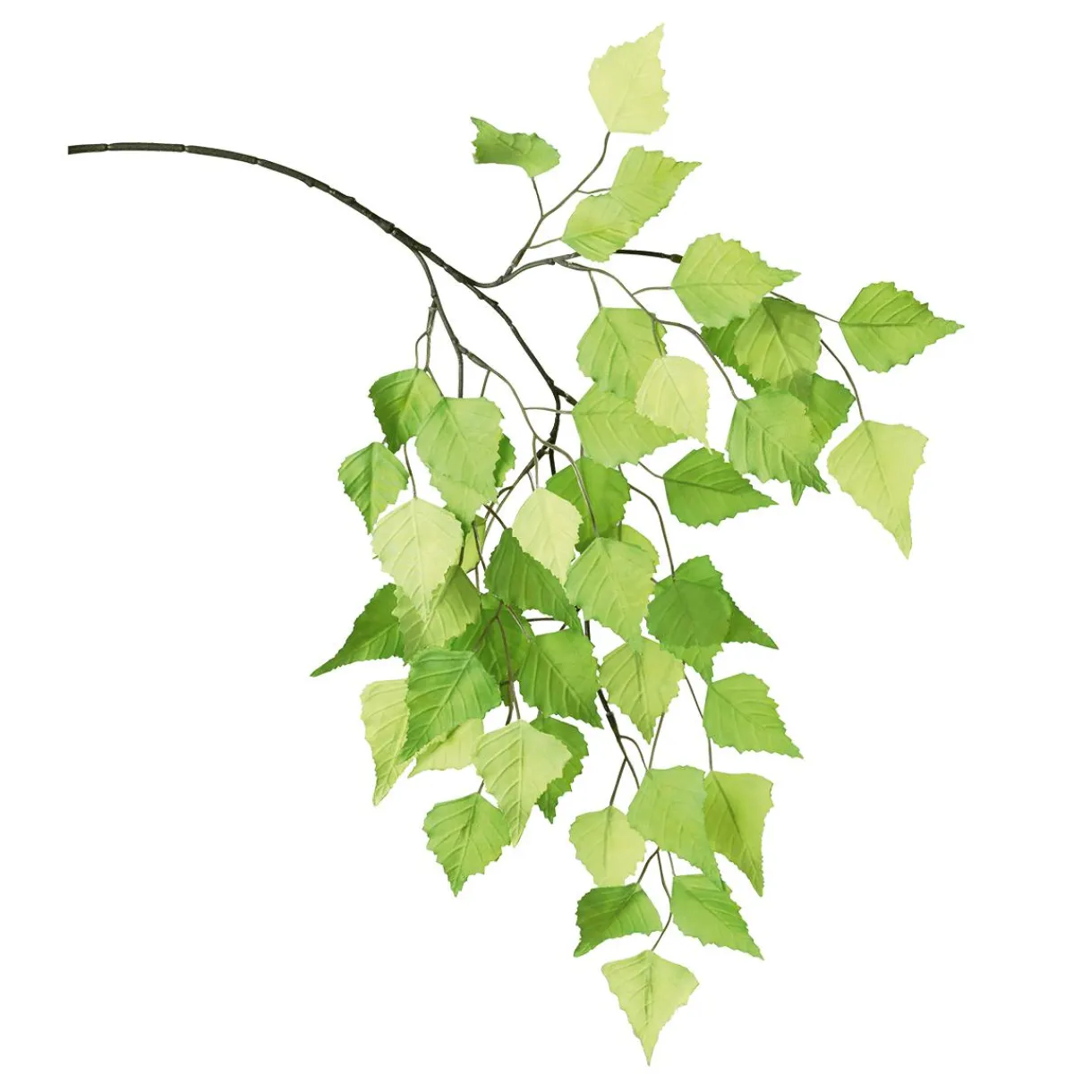 Clearance DecoWoerner Künstlicher Birkenzweig 60 Cm grün