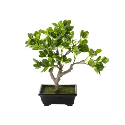 Clearance DecoWoerner Künstlicher Bonsai Pfennigblatt Eingetopft 34 Cm grün