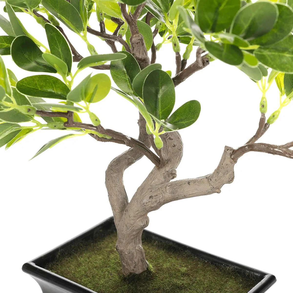 Clearance DecoWoerner Künstlicher Bonsai Pfennigblatt Eingetopft 34 Cm grün
