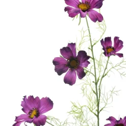 Discount DecoWoerner Künstlicher Cosmos Deko-Zweig Lila 90cm violett