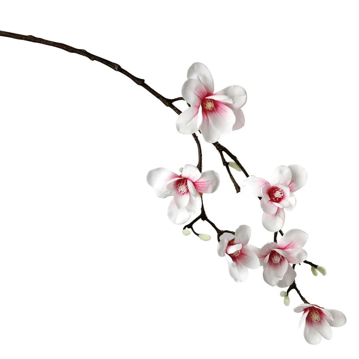 Hot DecoWoerner Künstlicher Edel-Magnolienzweig, Weiß/rosa, 100 Cm mehrfarbig