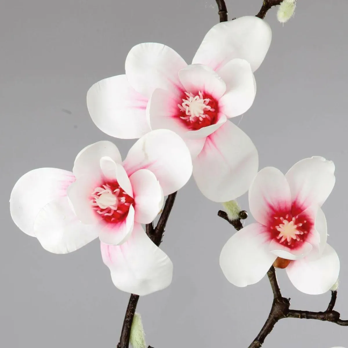 Hot DecoWoerner Künstlicher Edel-Magnolienzweig, Weiß/rosa, 100 Cm mehrfarbig