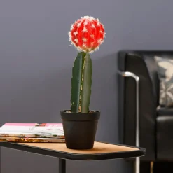 Hot DecoWoerner Künstlicher Erdbeerkaktus Im Topf 35 Cm rot