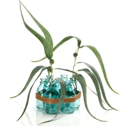DecoWoerner Künstlicher Eucalyptus, 60 Cm grün