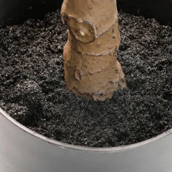 Sale DecoWoerner Künstlicher Feigenbaum Im Topf 174 Cm grün