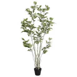Clearance DecoWoerner Künstlicher Ficusbaum Im Topf grün