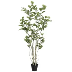 Clearance DecoWoerner Künstlicher Ficusbaum Im Topf grün