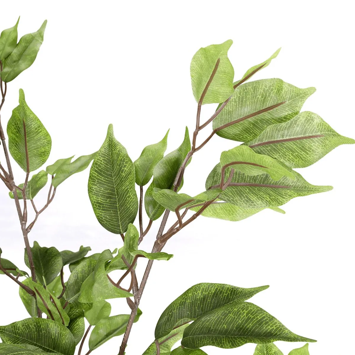 Clearance DecoWoerner Künstlicher Ficusbaum Im Topf grün
