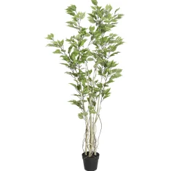Clearance DecoWoerner Künstlicher Ficusbaum Im Topf grün