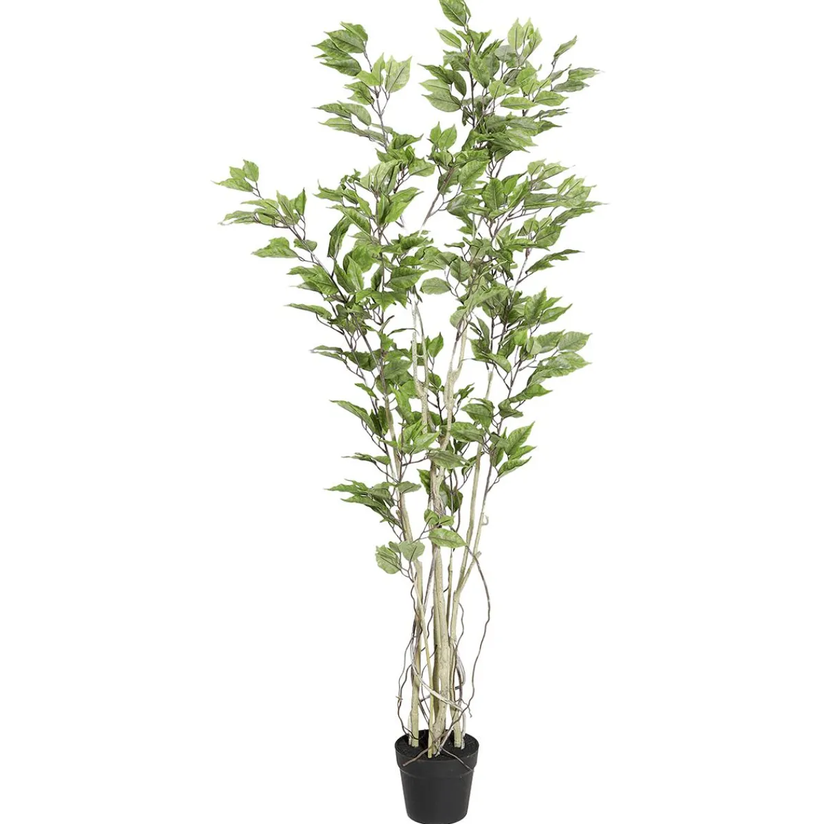 Clearance DecoWoerner Künstlicher Ficusbaum Im Topf grün
