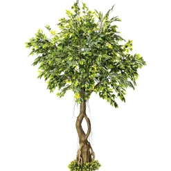 Outlet DecoWoerner Künstlicher Ficusbaum Mit Standplatte 245 Cm grün