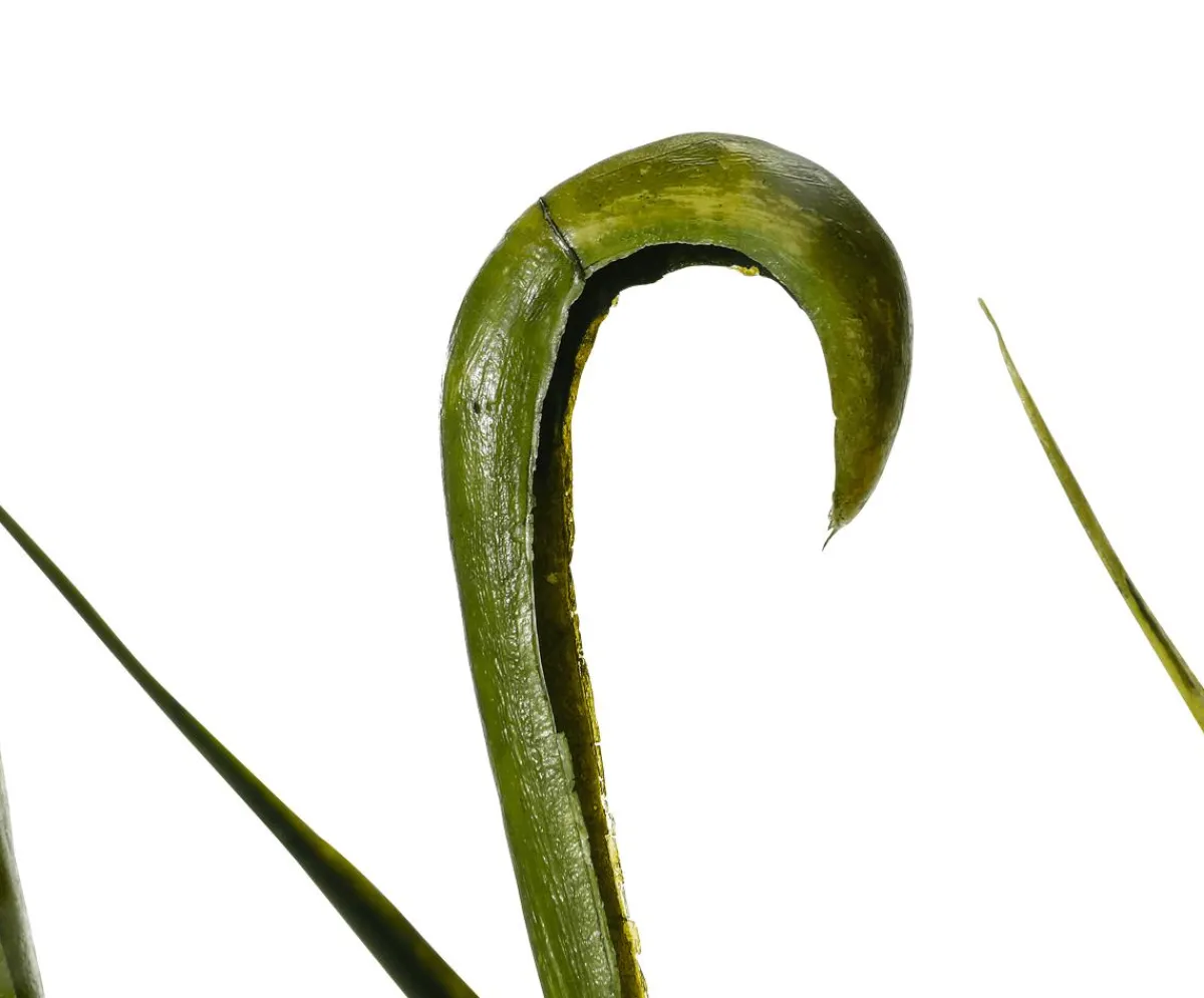 Online DecoWoerner Künstlicher Graszweigbusch 90 Cm grün