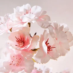 Outlet DecoWoerner Künstlicher Kirschblüten Baum Weiß - Rosè, 150 Cm rosa