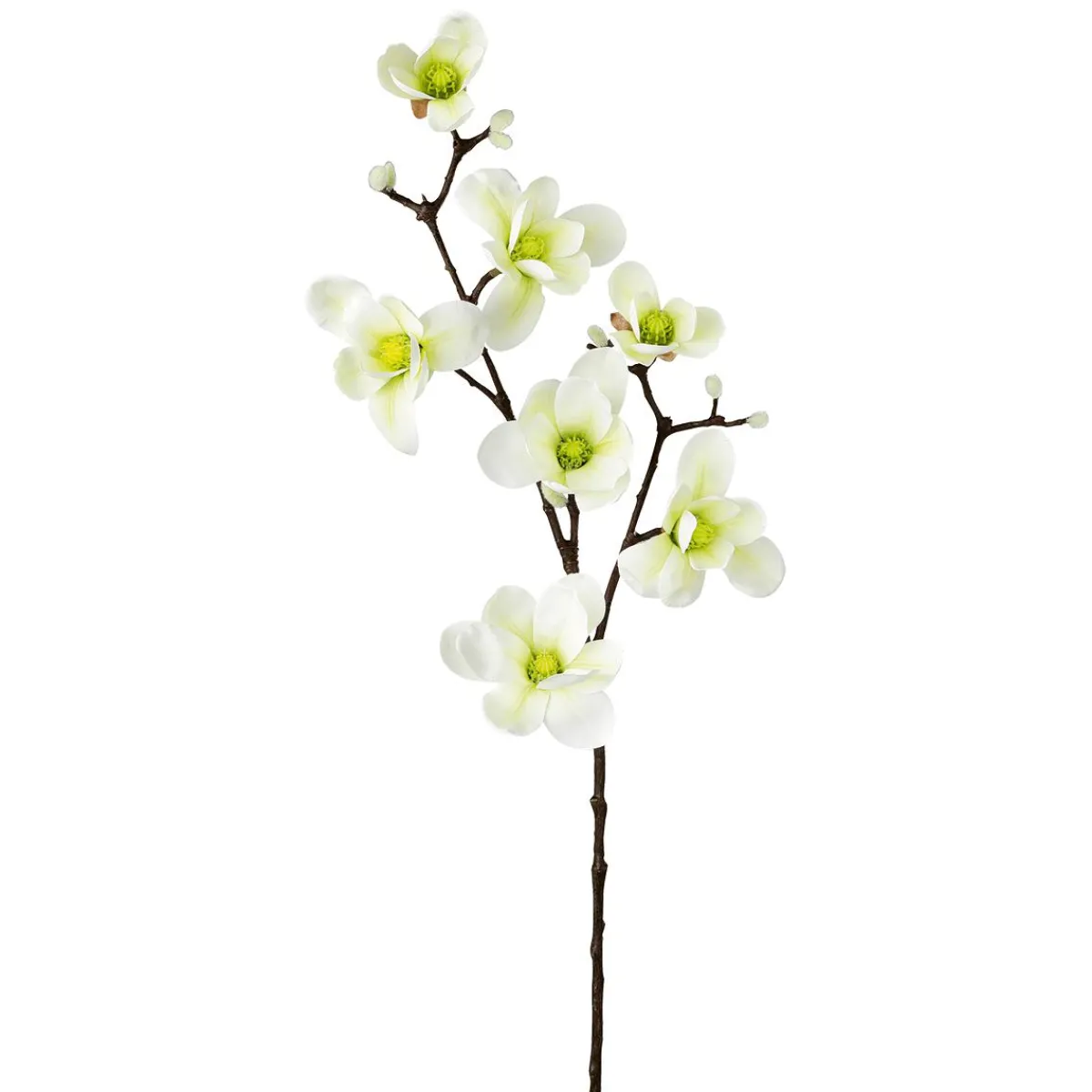 DecoWoerner Künstlicher Magnolienzweig, -grün, 100 Cm weiß