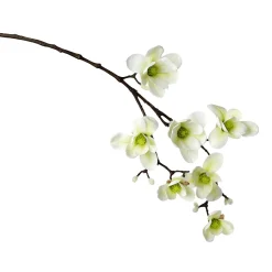 DecoWoerner Künstlicher Magnolienzweig, -grün, 100 Cm weiß