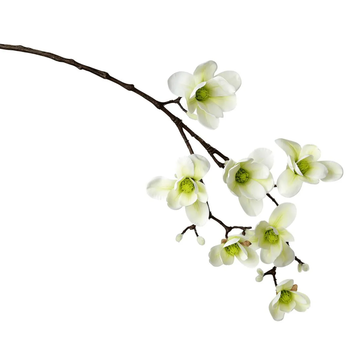 DecoWoerner Künstlicher Magnolienzweig, -grün, 100 Cm weiß