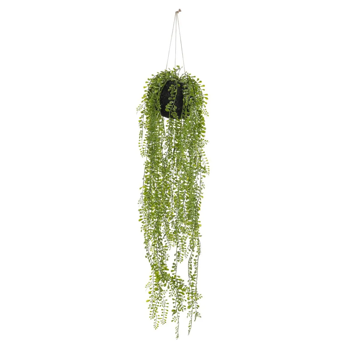 Discount DecoWoerner Künstlicher Mooskugel Senecio Hängepflanze 75 Cm grün