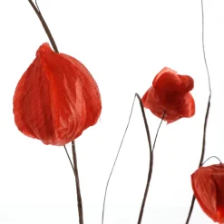 Clearance DecoWoerner Künstlicher Physalis-Zweig, 80 Cm orange