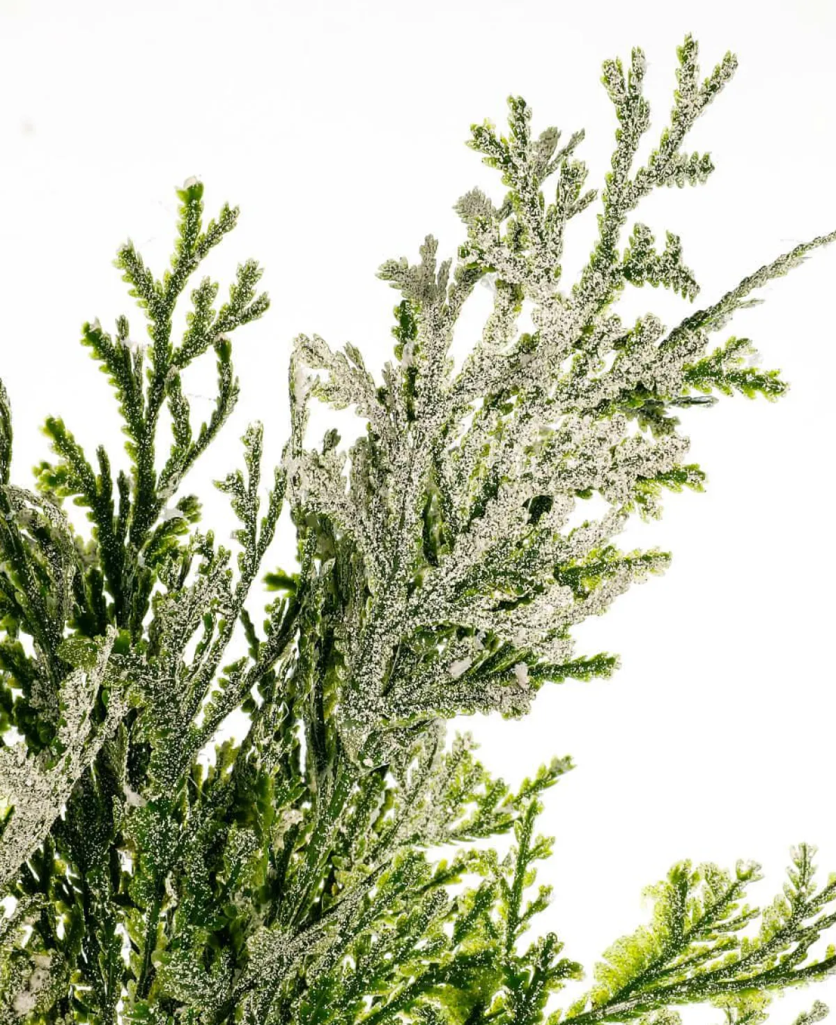 Best DecoWoerner Künstlicher Thuja Zweig, 35 Cm grün
