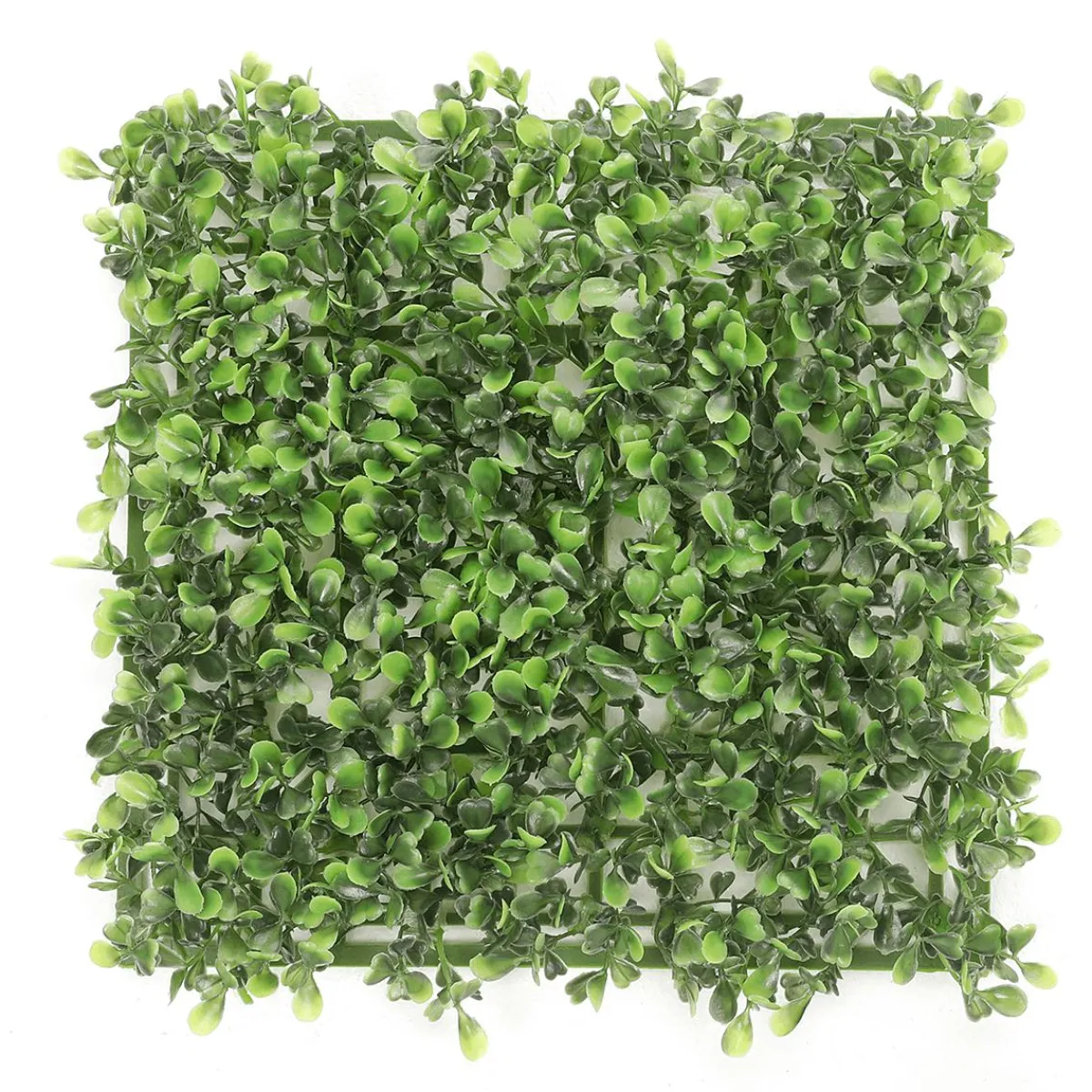 Discount DecoWoerner Künstliches Buchspaneel 25 X 25 Cm grün