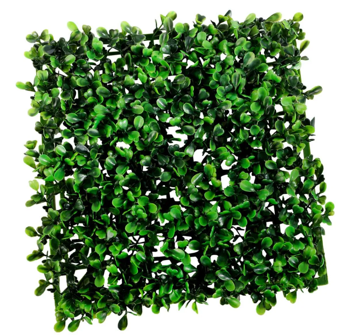 Discount DecoWoerner Künstliches Buchspaneel 25 X 25 Cm grün
