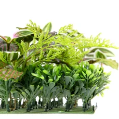 New DecoWoerner Künstliches Fittonia-Buchs-Paneel 25 X 25 Cm grün